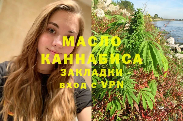 индика Бронницы