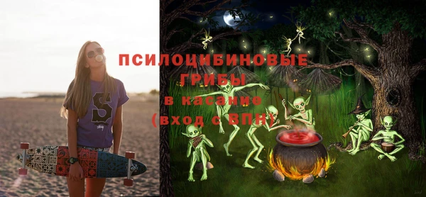 ECSTASY Володарск