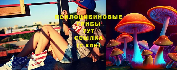 ECSTASY Володарск