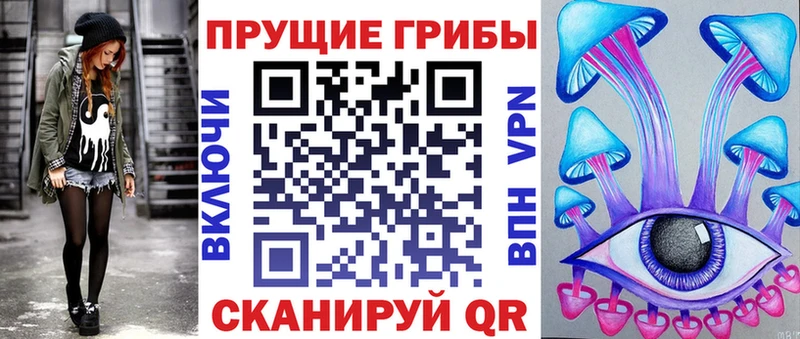 где купить наркоту  Зарайск  mega ссылки  Псилоцибиновые грибы Psilocybine cubensis 